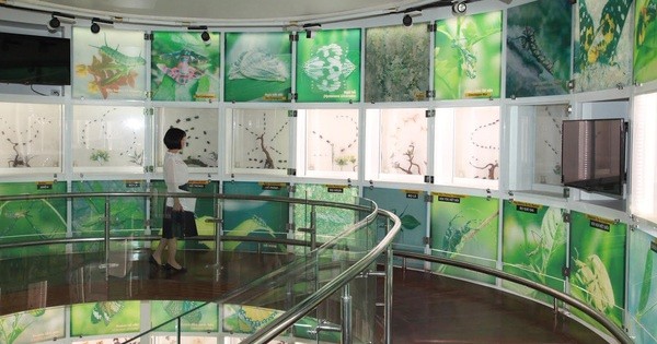 3-khong-gian-doc-dao-thoang-dang-cua-bao-tang-quang-ninh (1).jpg