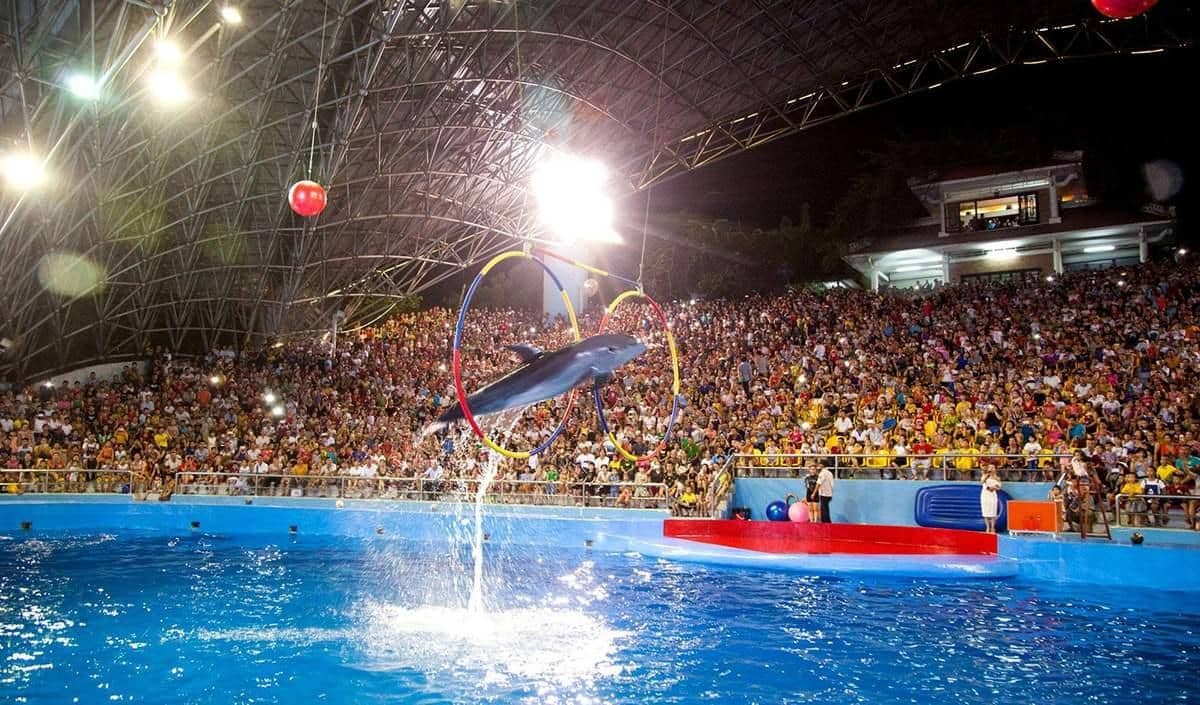 3-bieu-dien-ca-sau-ca-heo-hai-cau-va-su-tu-bien (1).jpg