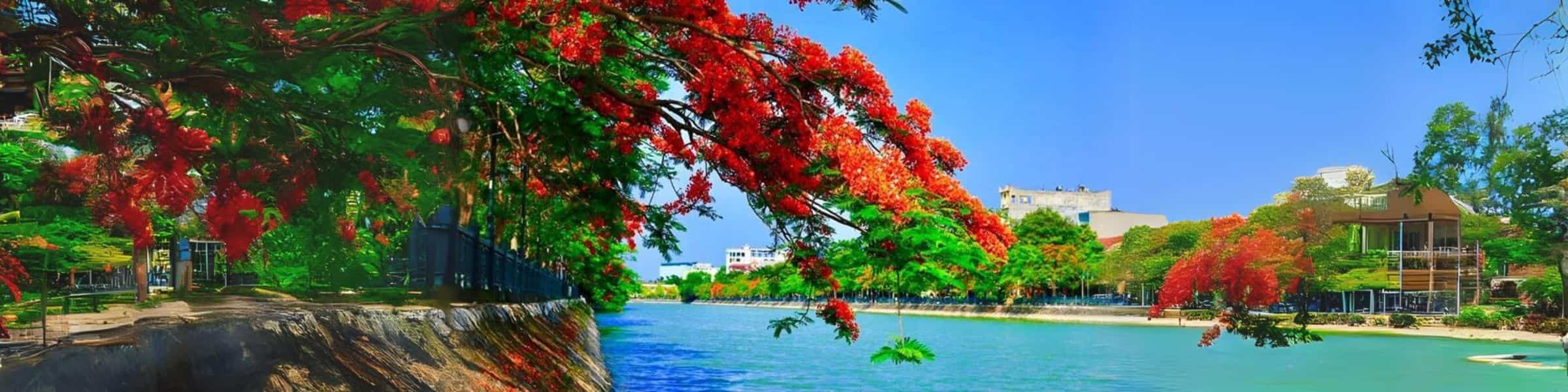 kham-pha-le-hoi-hoa-phuong-do-hai-phong