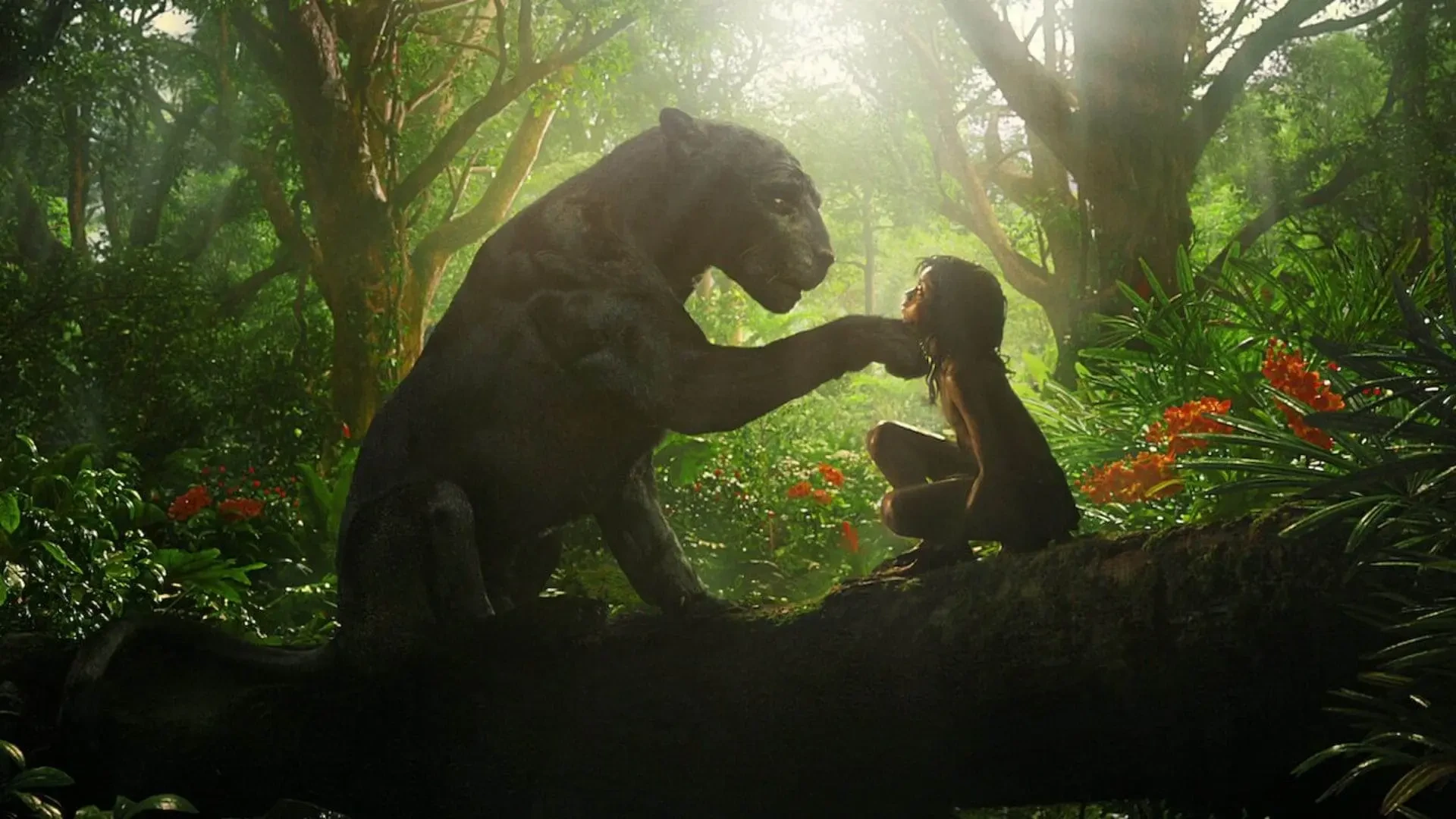 8-the-jungle-book.webp