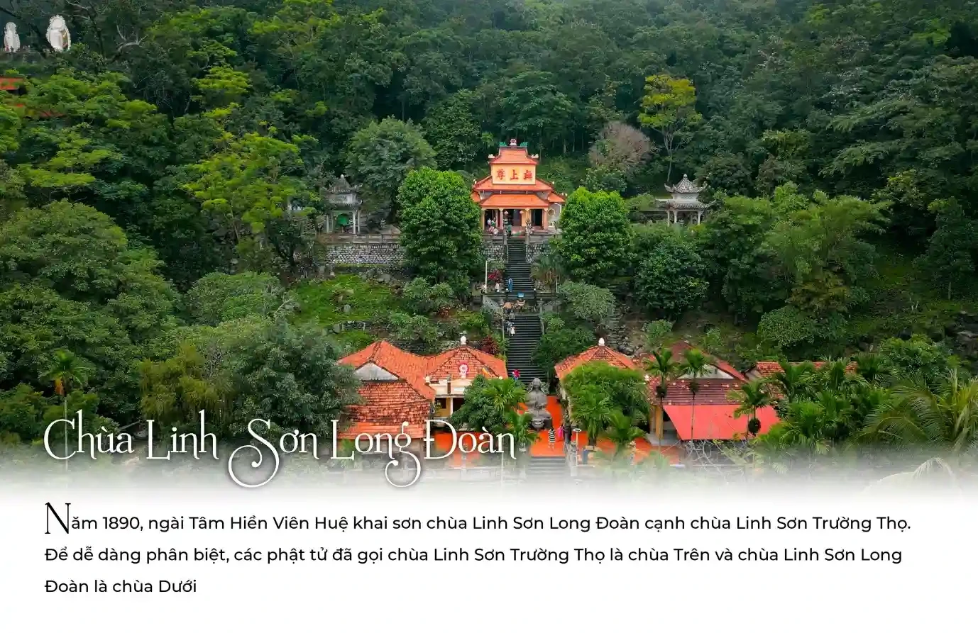 khuon-vien-chua-linh-son-long-doan-thenh-thang-thoang-mat-voi-nhieu-cay-xanh-rop-bong.webp