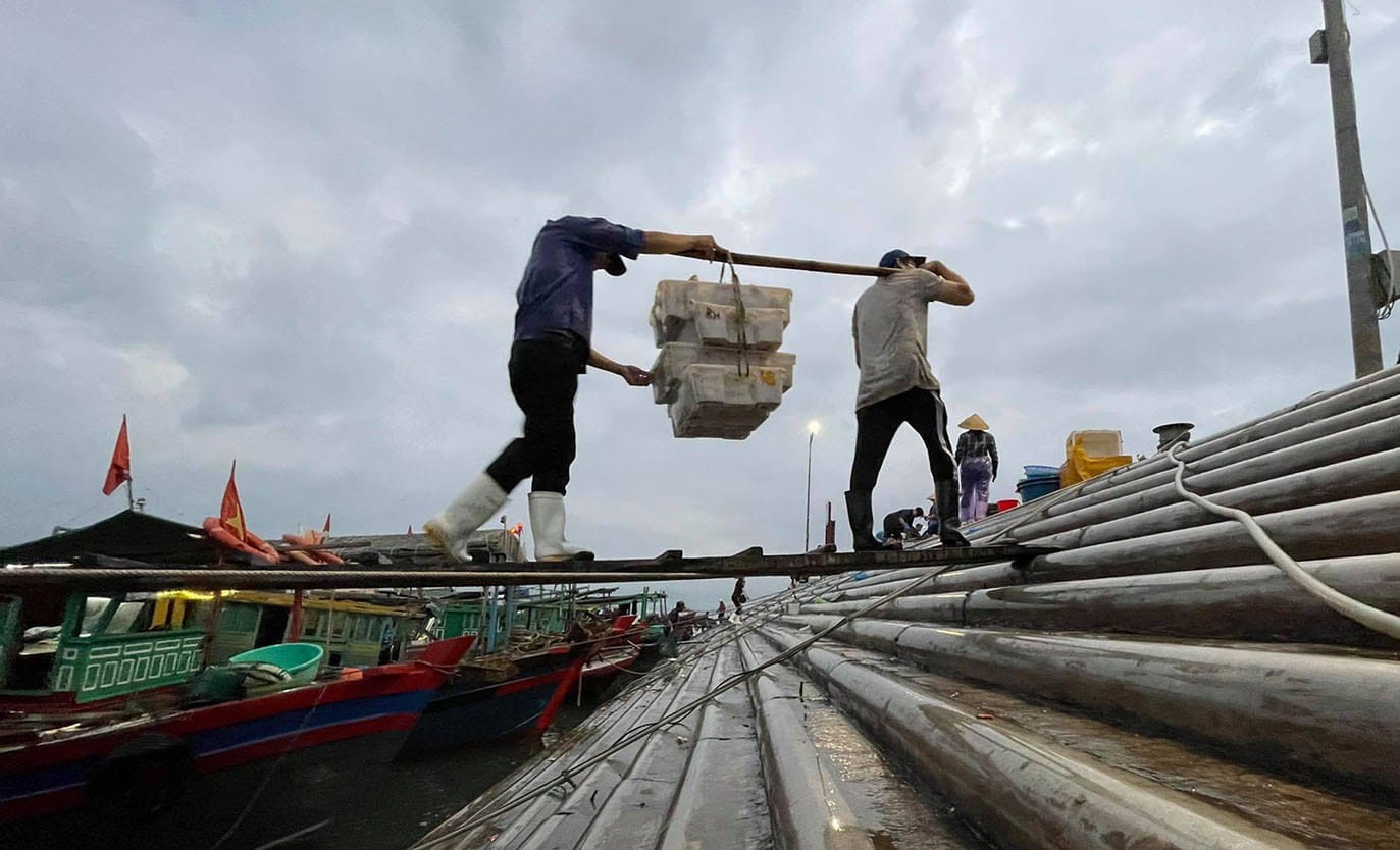 5-tung-ganh-hai-san-tuoi-ngon-nhat-duoc-dua-tu-tau-len-bo-phuc-vu-khach-mua-hang (1).jpg