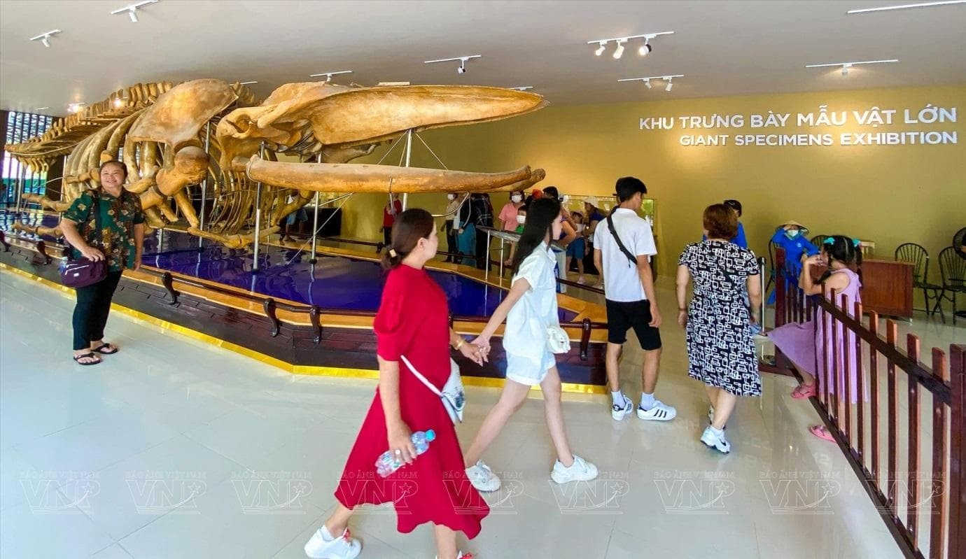 2-cung-ca-heo-duoc-chia-thanh-hai-khu-vuc-la-khoi-trung-bay-va-khoi-trien-lam (1).jpg